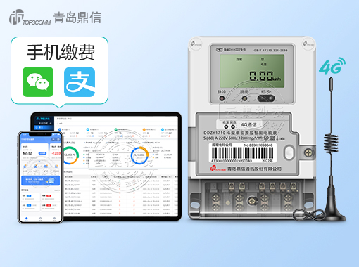 �ൺ����DDZY1710-G|2��