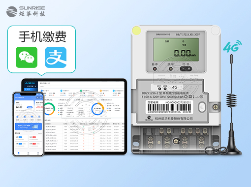 ���ݾ滪DDZY1296-Z|1��