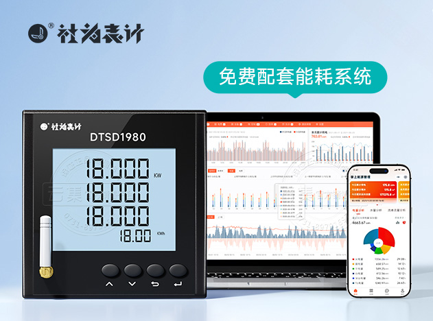 DTSD1980����4G�๦�ܵ����Ǳ�